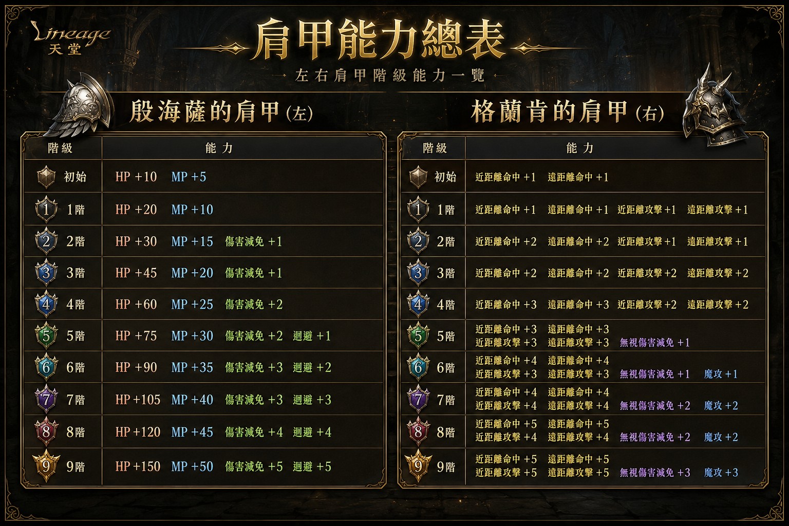 肩甲.jpg